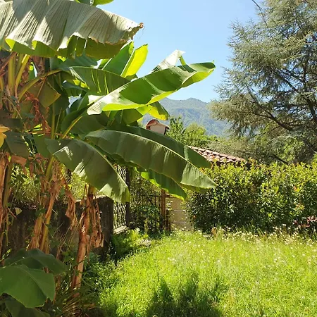 Appartement Casa Paradiso *